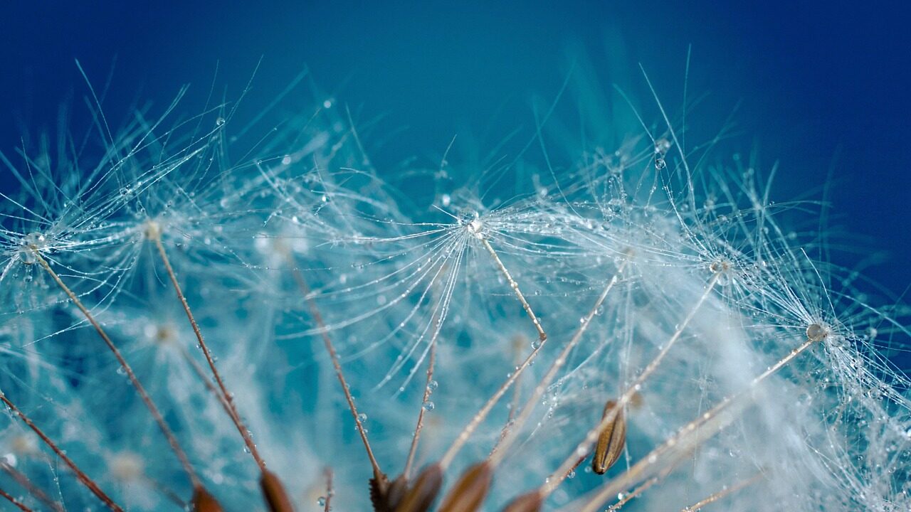 香案上看线香香灰辨产地